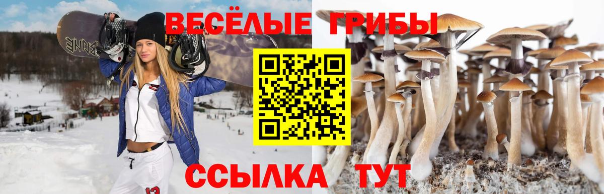 Псилоцибиновые грибы мицелий  Галлюциногенные грибы Cubensis  Горно-Алтайск  купить наркоту  Вход с VPN 