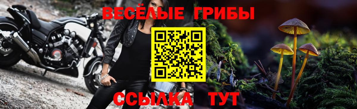 Псилоцибиновые грибы ЛСД Горно-Алтайск